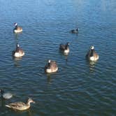 Review photo of Watson Lake Park by Ryan V., June 26, 2016