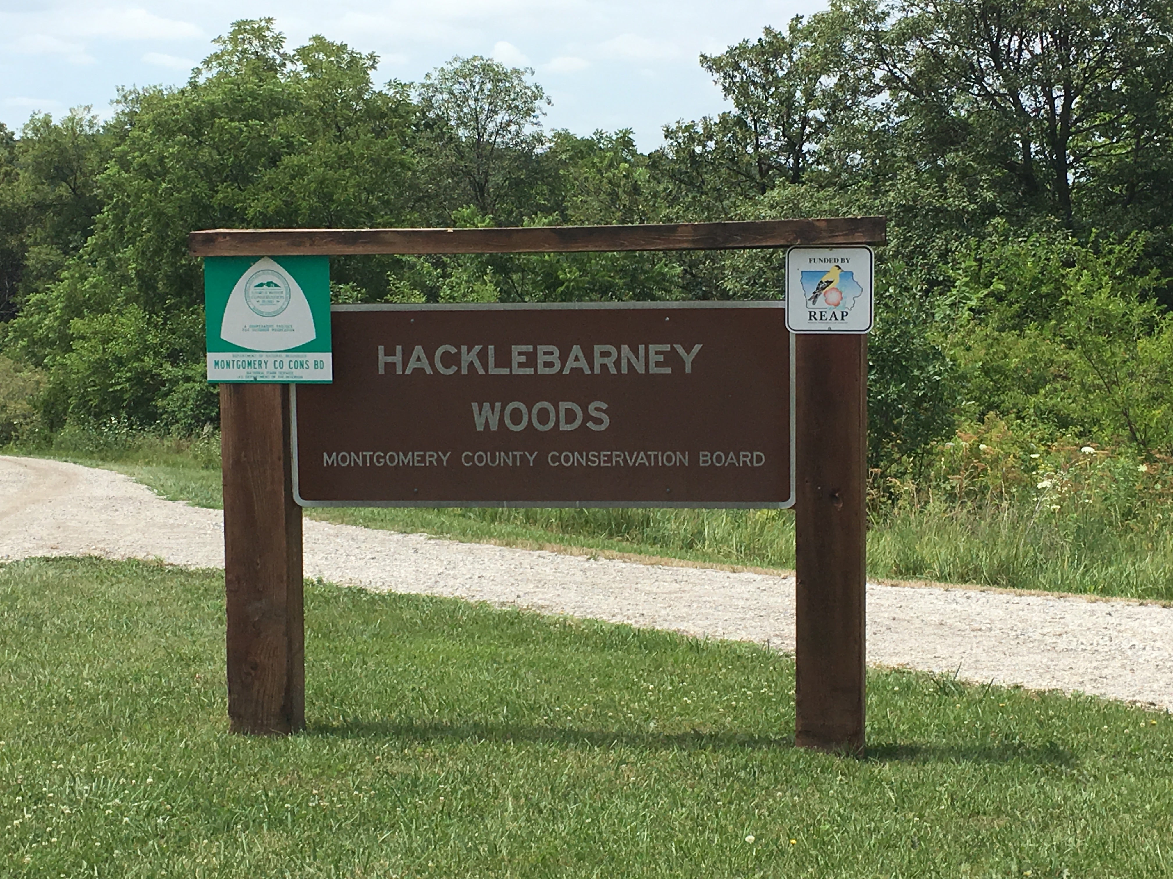 Camper submitted image from Hacklebarney Woods County Park - 2