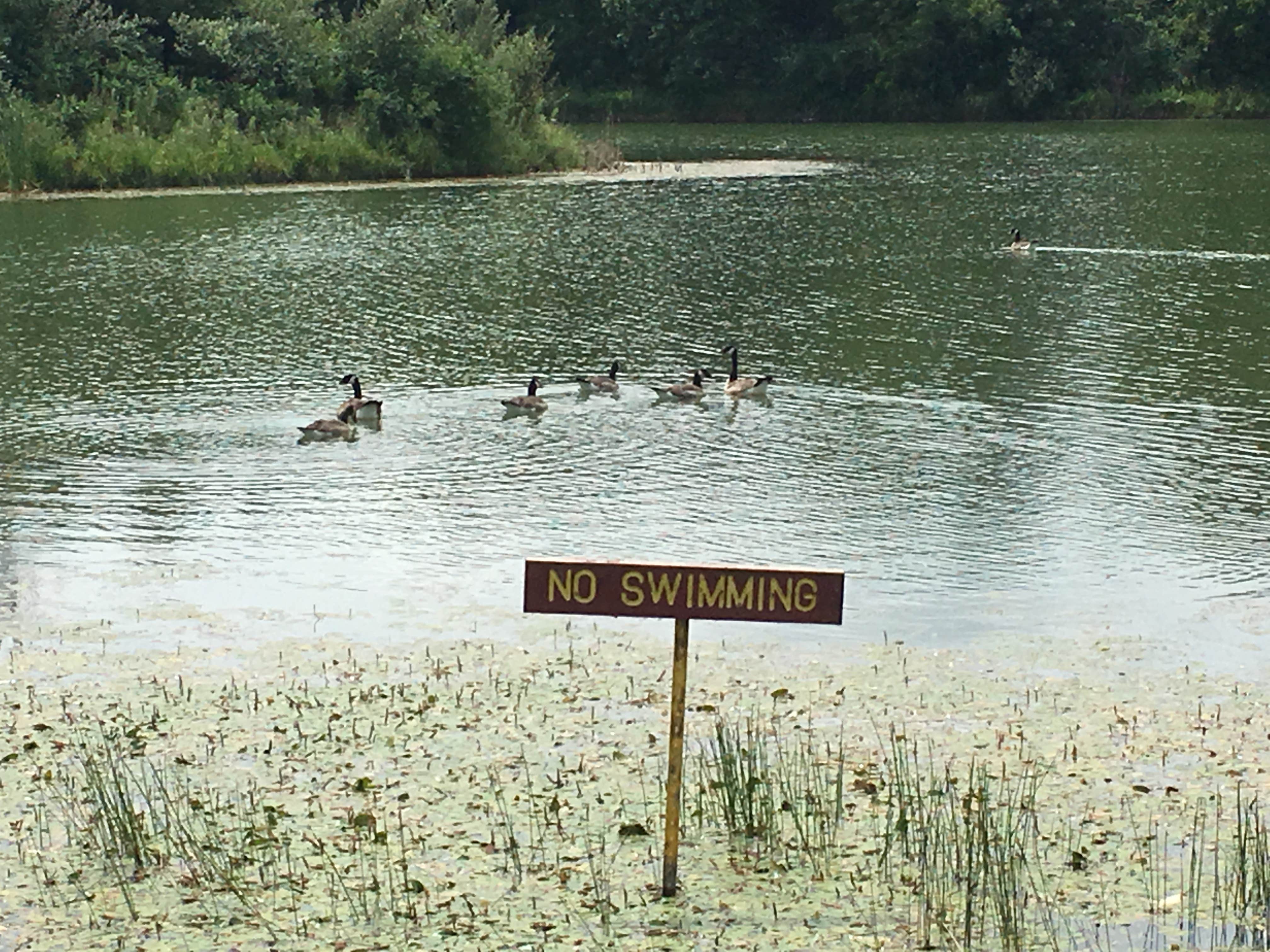 Camper submitted image from Hacklebarney Woods County Park - 4