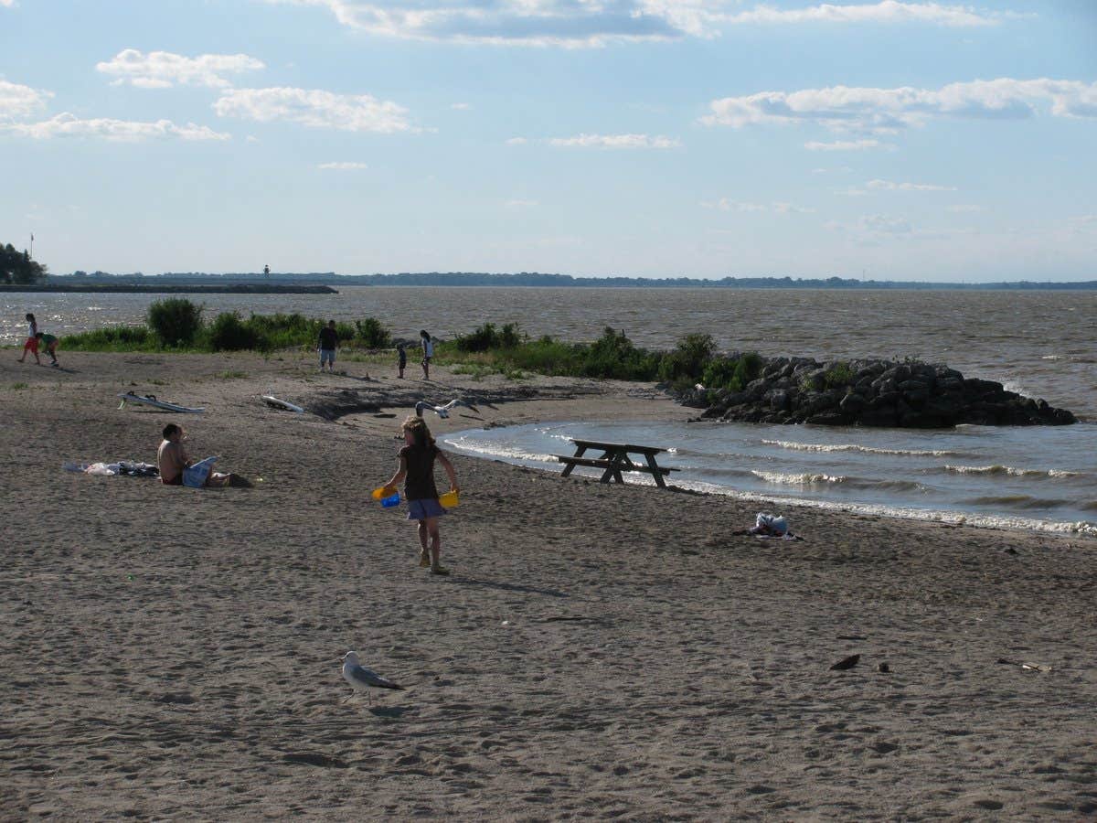 Camper submitted image from Maumee Bay State Park Campground - 4