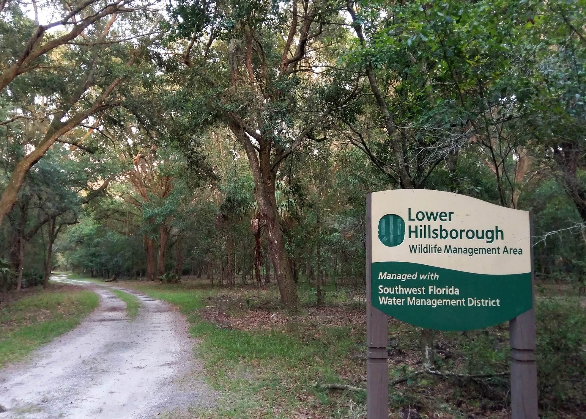 Washburn Equestrian Area and Primitive Campground Camping The Dyrt