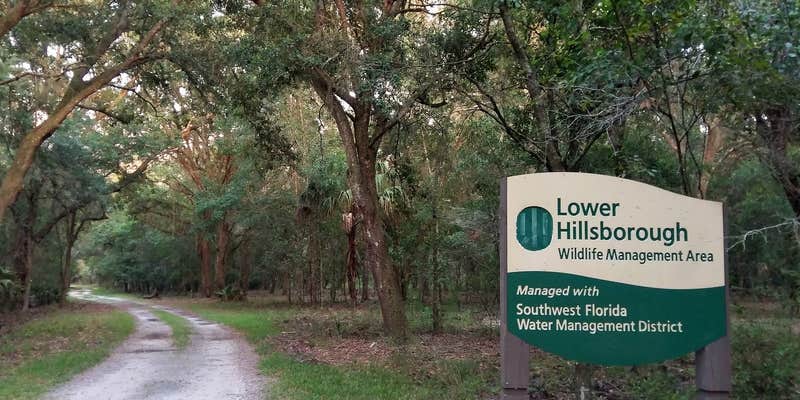 Camper submitted image from Washburn Equestrian Area and Primitive Campground