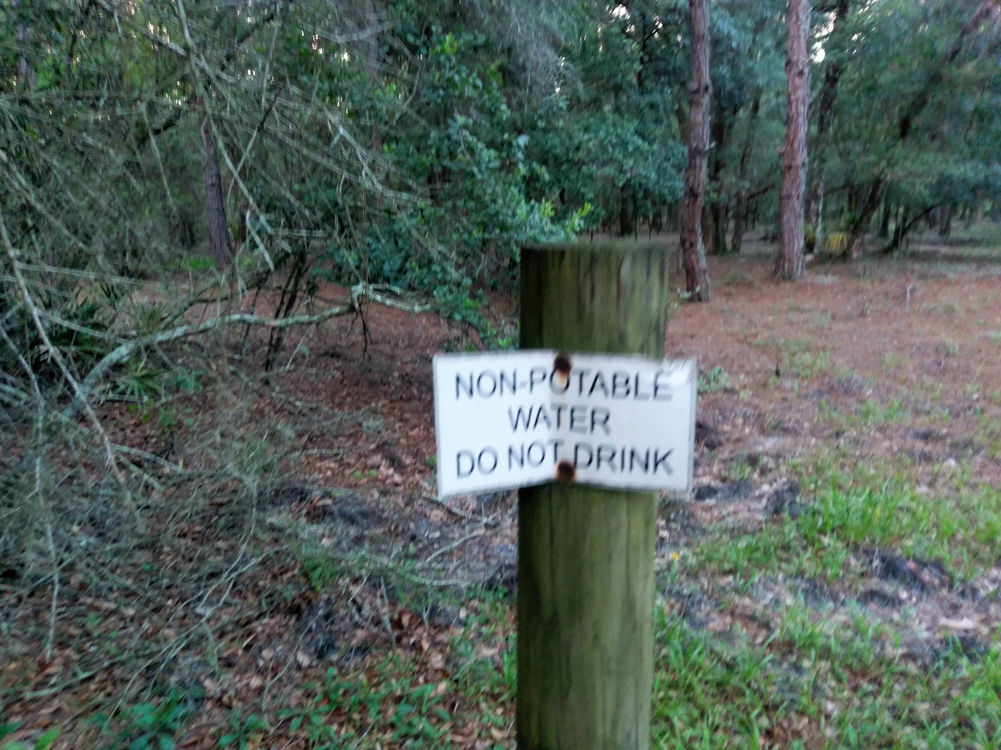 Camper submitted image from Washburn Equestrian Area and Primitive Campground - 2