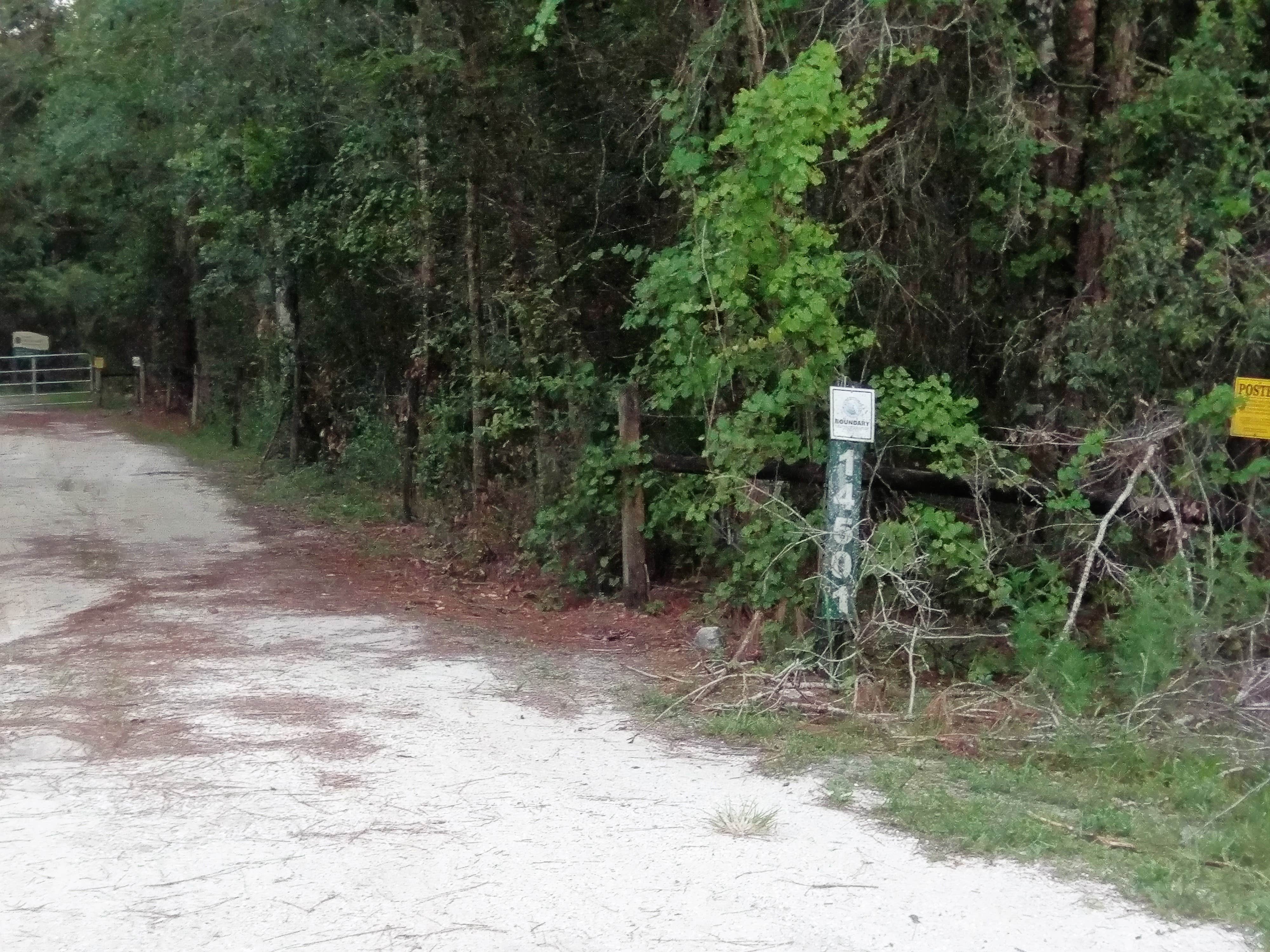 Camper submitted image from Washburn Equestrian Area and Primitive Campground - 4