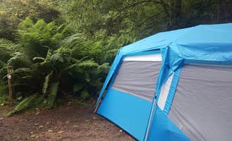 Camping near Widow White Creek RV Park: Penn Campground — Sue-meg State Park, Trinidad, California