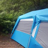 Review photo of Penn Campground — Sue-meg State Park by Lisa M., July 16, 2017