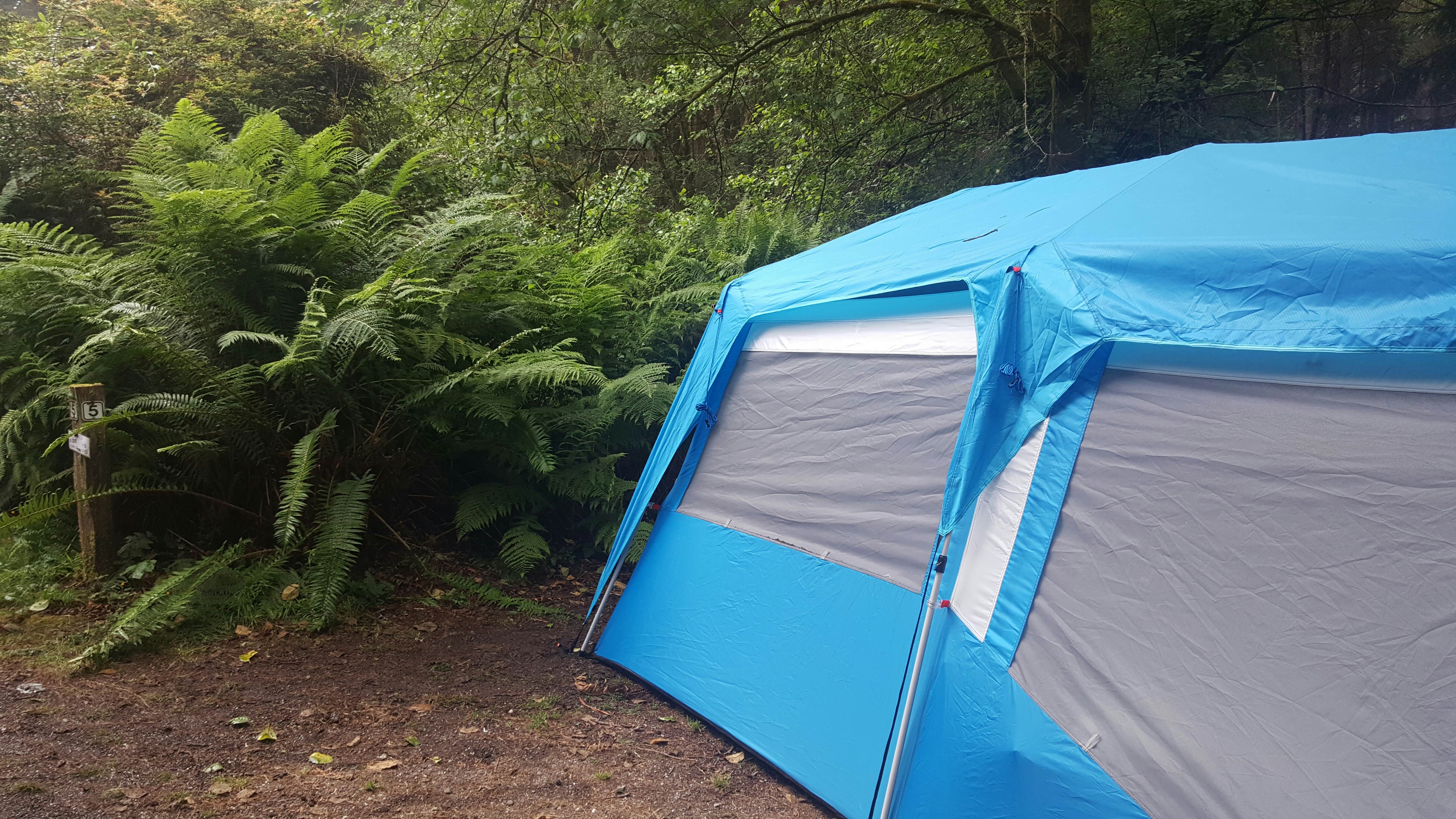 Camper submitted image from Penn Campground — Sue-meg State Park - 1