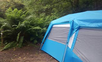 Lisa M.'s photo at Penn Campground — Sue-meg State Park near Essex, CA