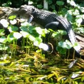 Review photo of Rodman Campground by noah R., July 16, 2017