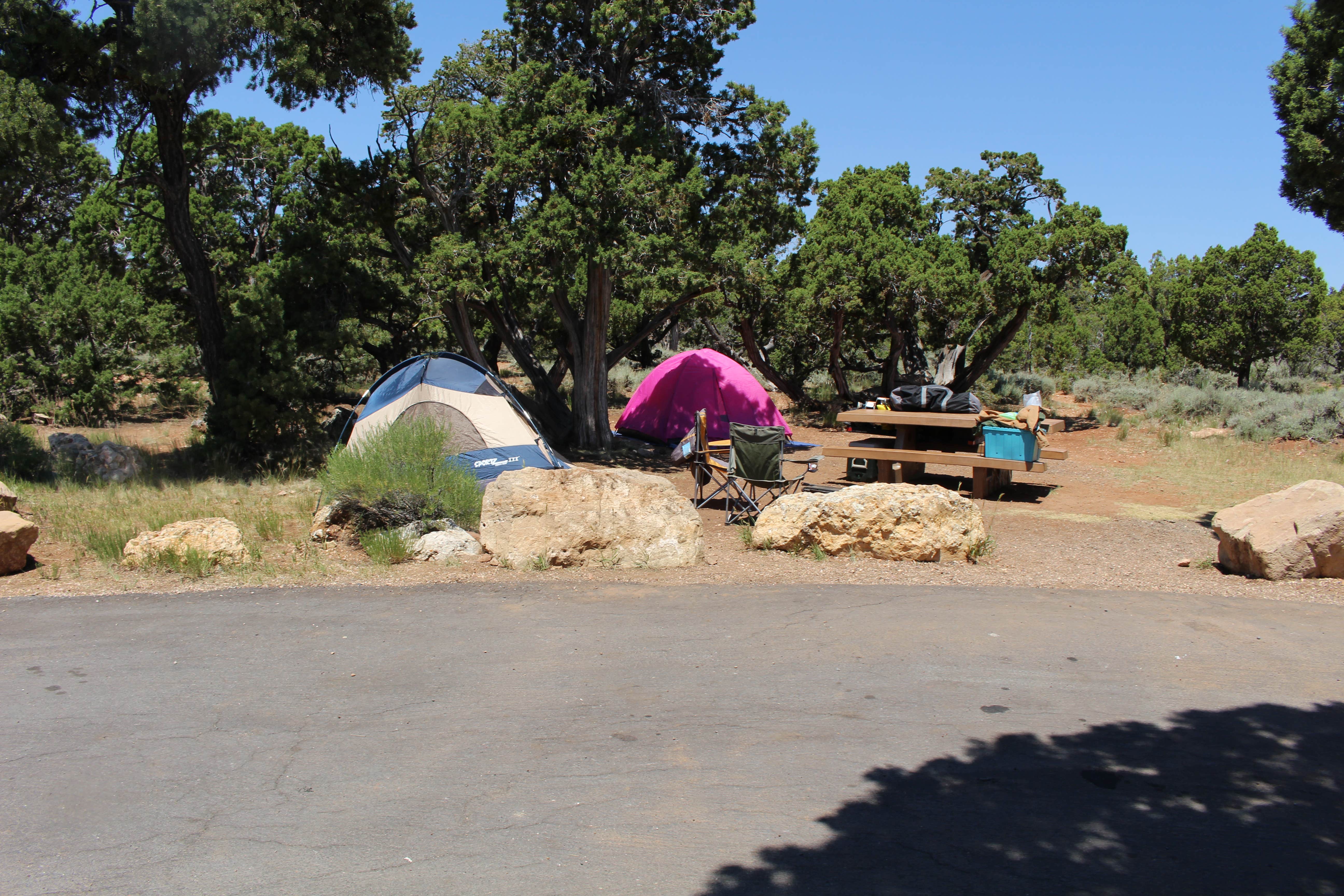 Andrew S.'s photo at Desert View Campground — Grand Canyon National Park near Cameron, AZ