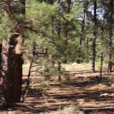 Review photo of Mather Campground — Grand Canyon National Park by Andrew S., July 16, 2017