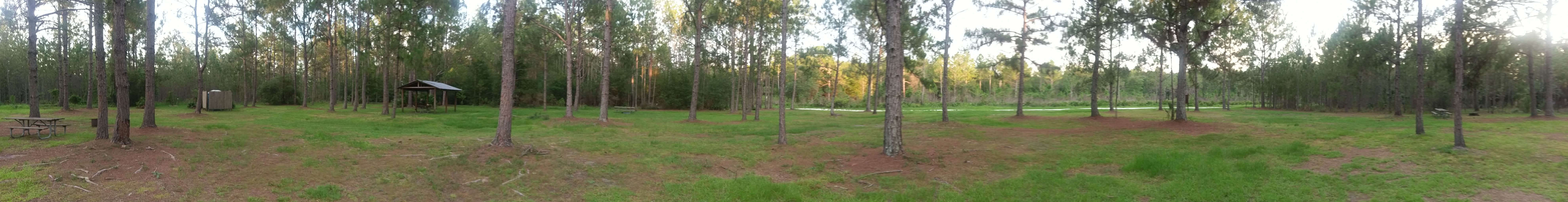 Camper-submitted photo at Lower Hillsborough Wilderness Preserve near Riverview, FL