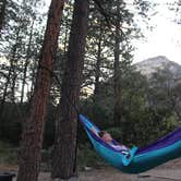 Review photo of Fletcher View by Andrew S., July 16, 2017