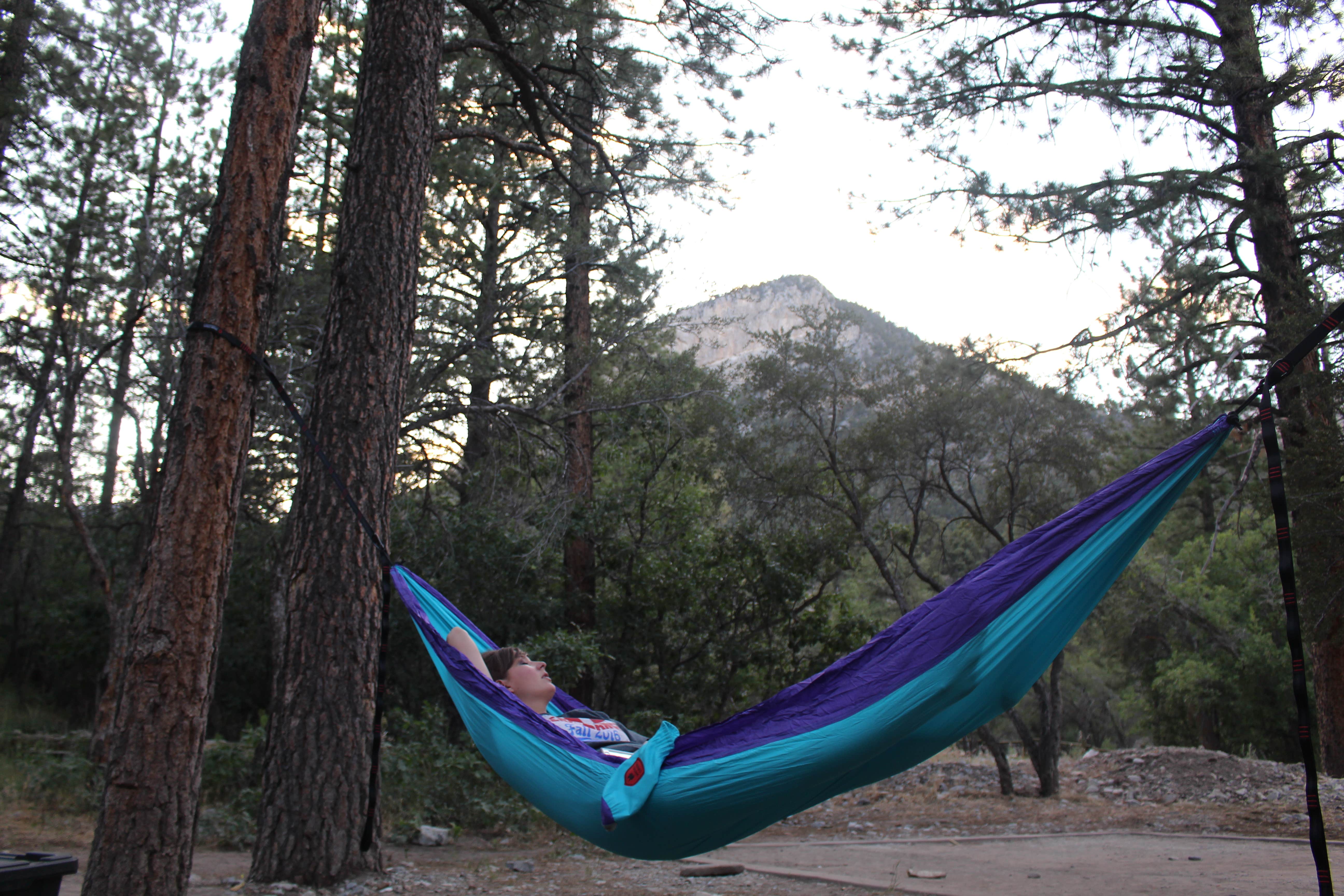 Camper submitted image from Fletcher View - 4