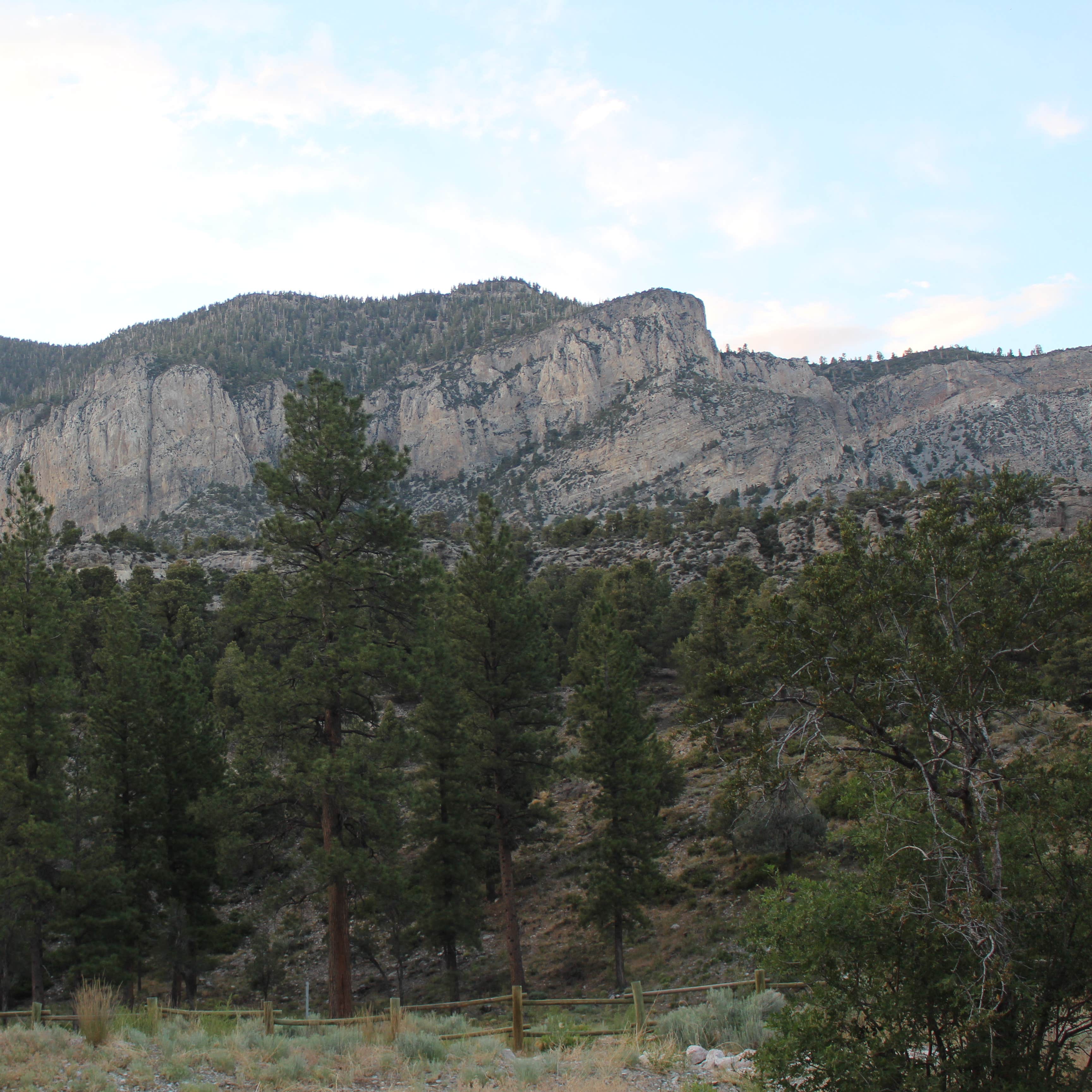 Fletcher View Camping The Dyrt