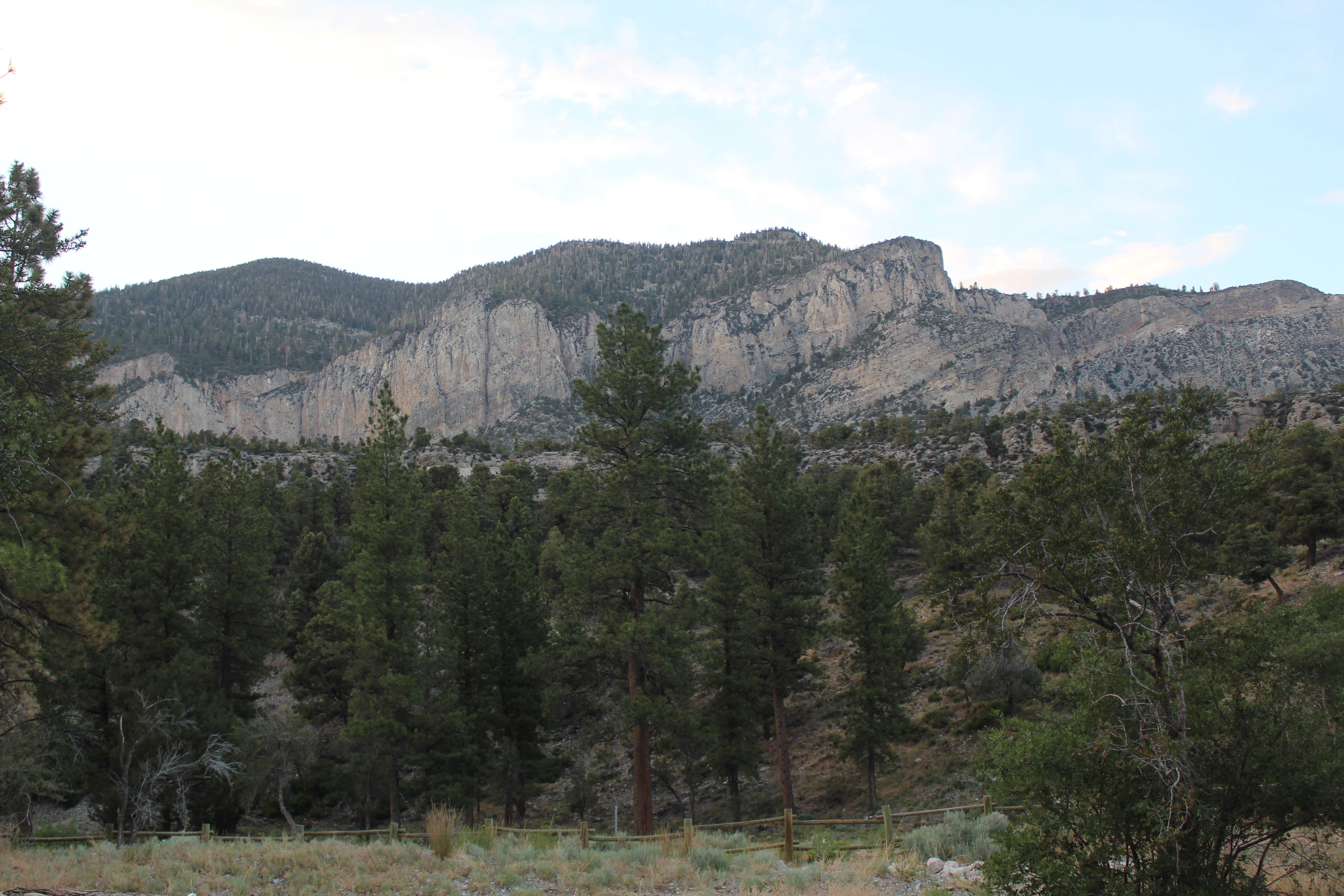Camper submitted image from Fletcher View - 2