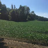 Review photo of Burdette Park by Shelly S., July 17, 2017