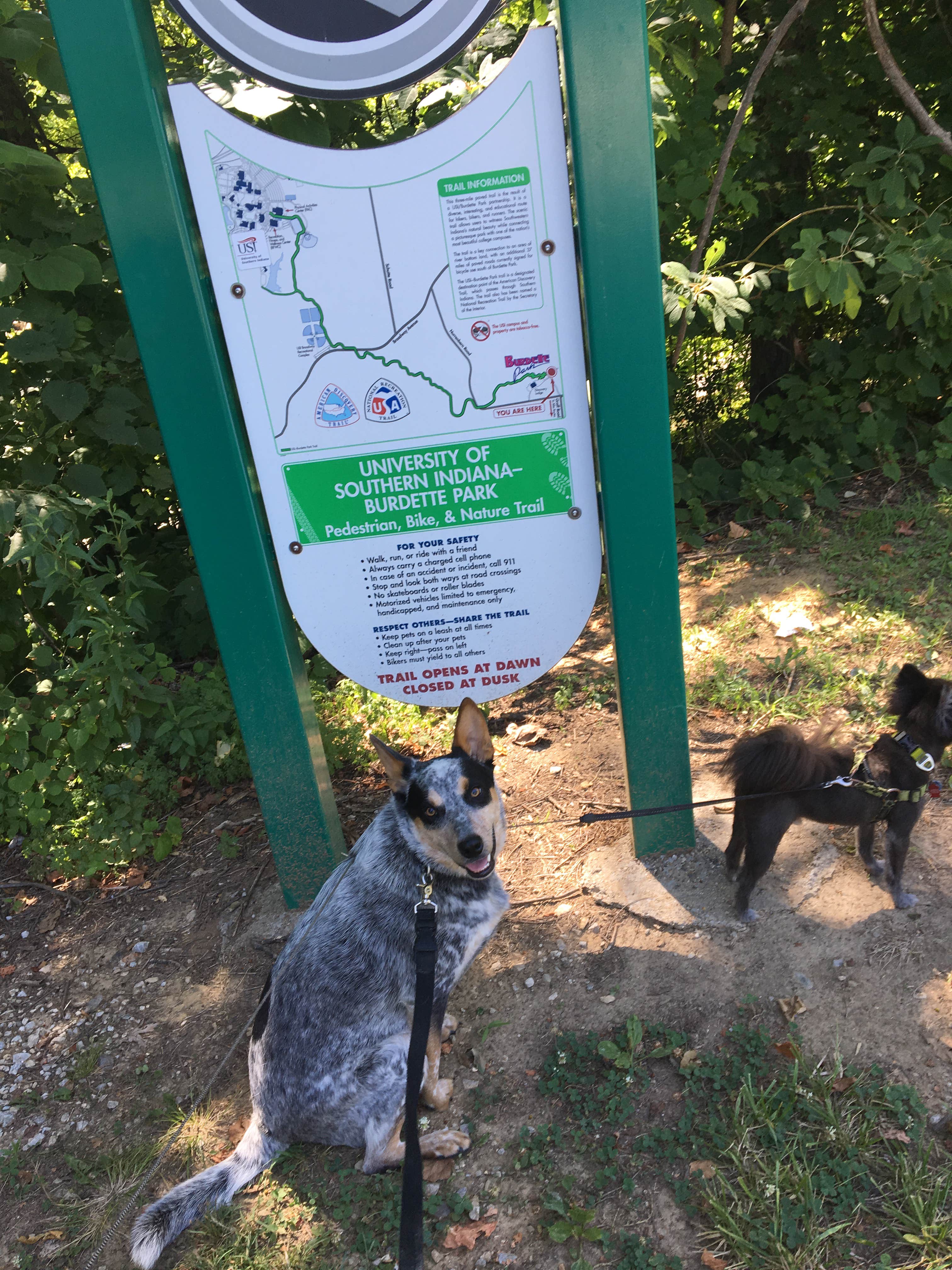 Shelly S.'s photo of camping with pets at Burdette Park near Madisonville, KY