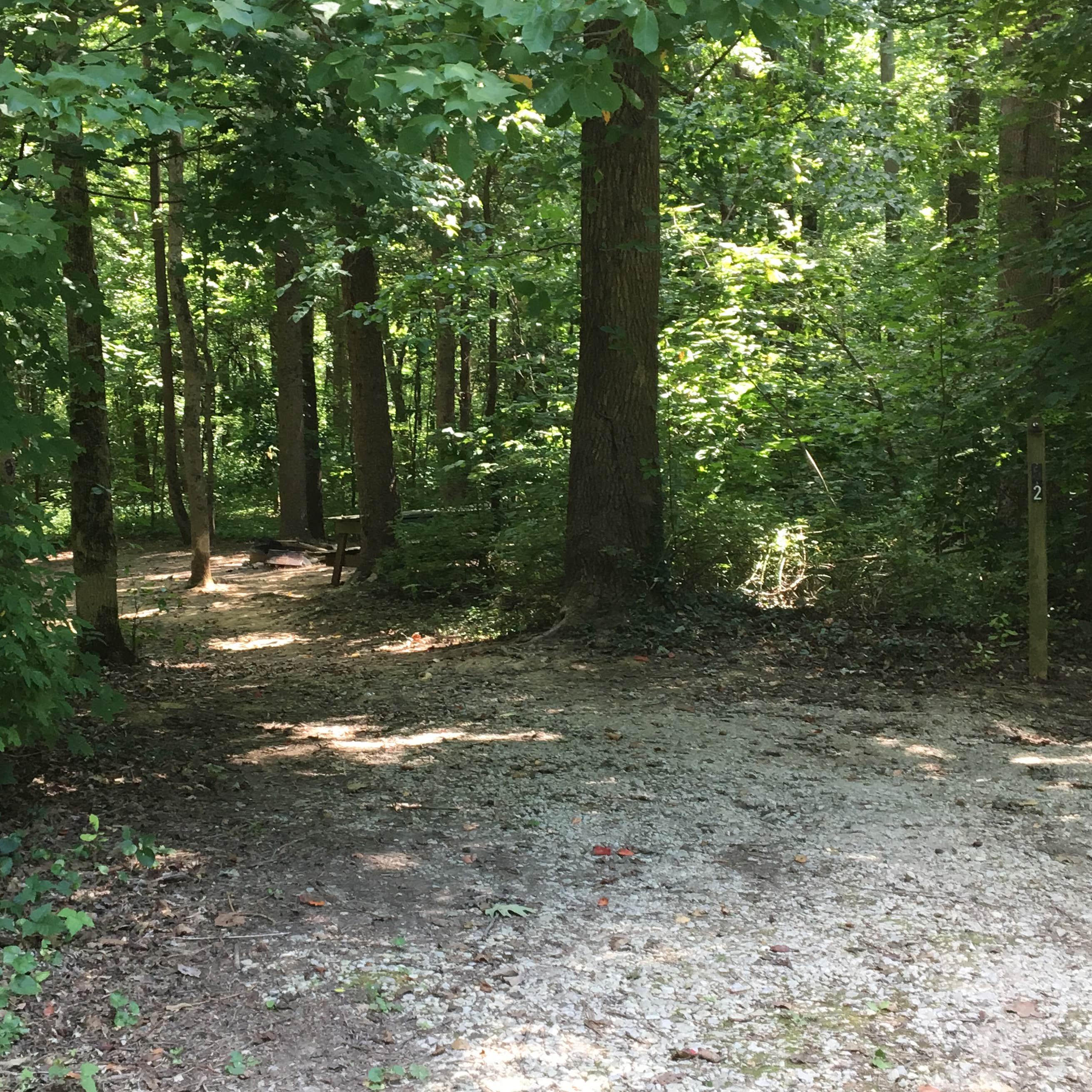 Burdette Park Camping The Dyrt