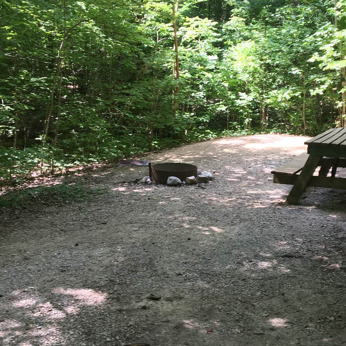 Burdette Park Camping The Dyrt