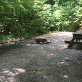 Review photo of Burdette Park by Shelly S., July 17, 2017
