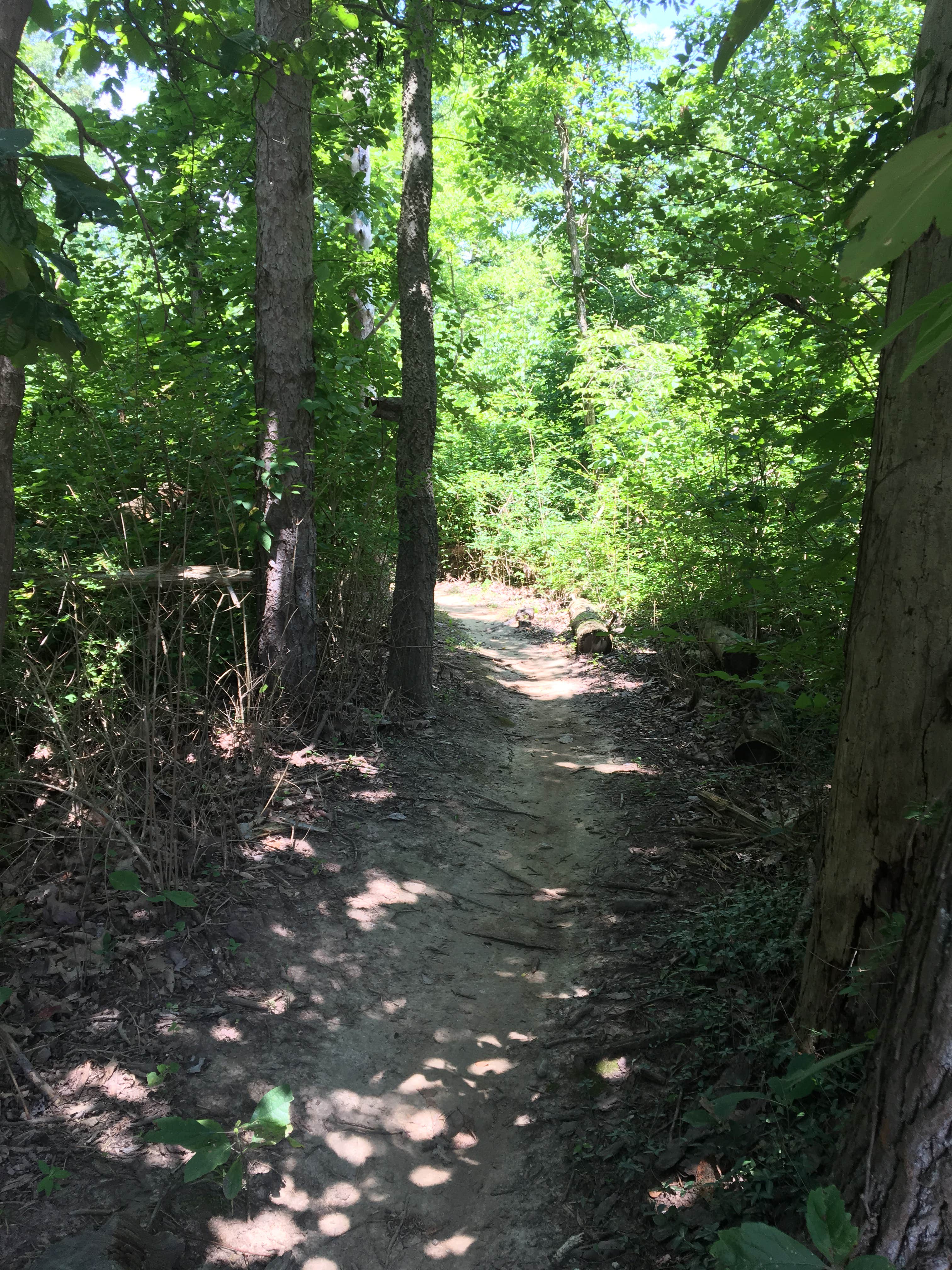 Scales Lake Park Camping Boonville, IN