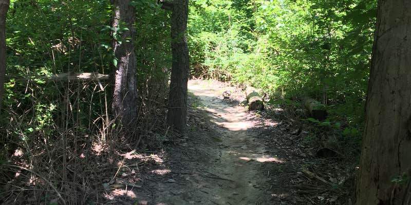 Camper submitted image from Scales Lake Park