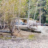 Review photo of Housekeeping Camp — Yosemite National Park by Kuo G., July 17, 2017