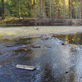 Review photo of Housekeeping Camp — Yosemite National Park by Kuo G., July 17, 2017