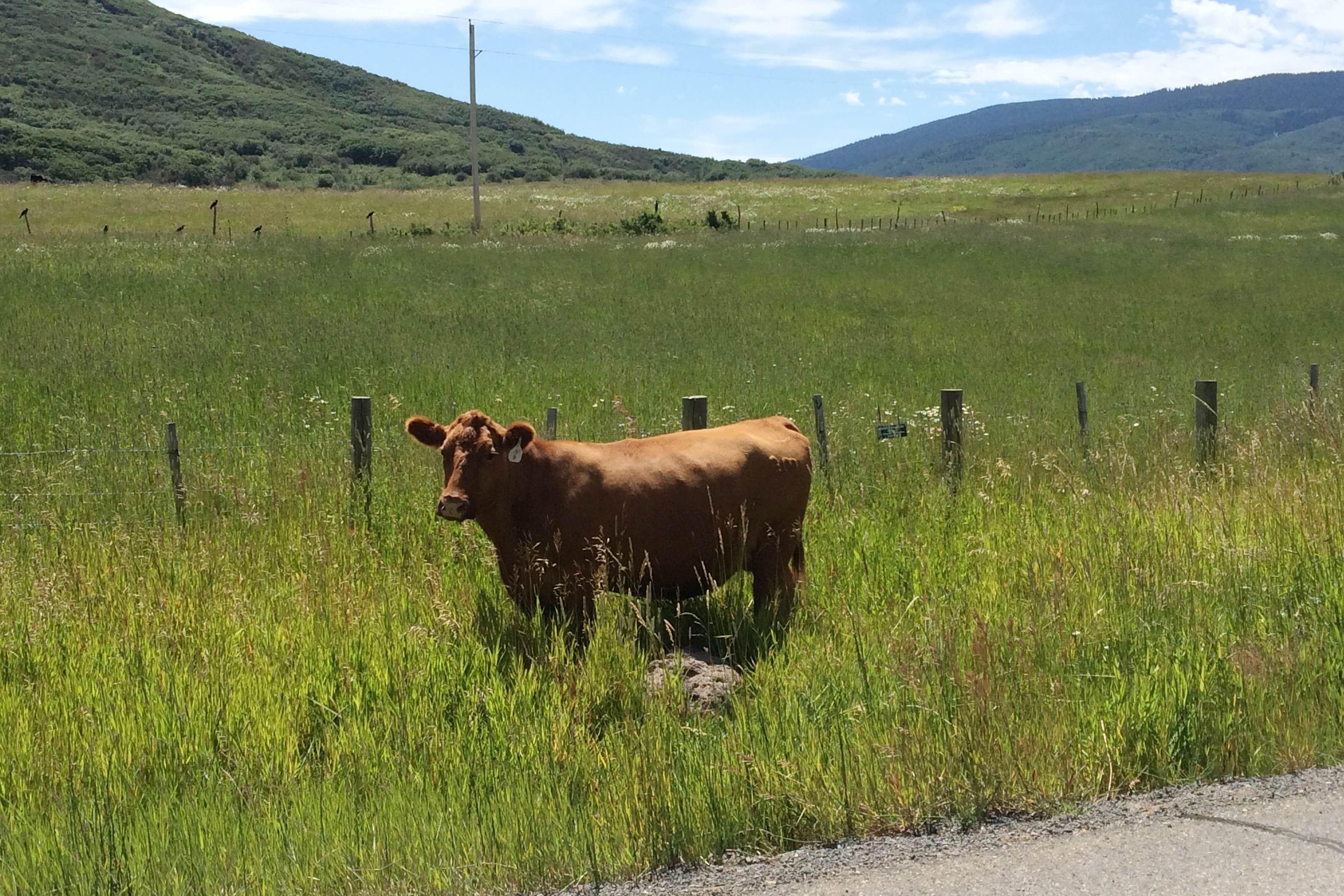 Camper-submitted photo at Aspen Grove Campground — Vega State Park near Collbran, CO