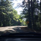 Review photo of Tyler State Park Campground by Peter F., July 17, 2017