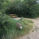 Review photo of Atherton Creek Campground by Katherine B., July 17, 2017