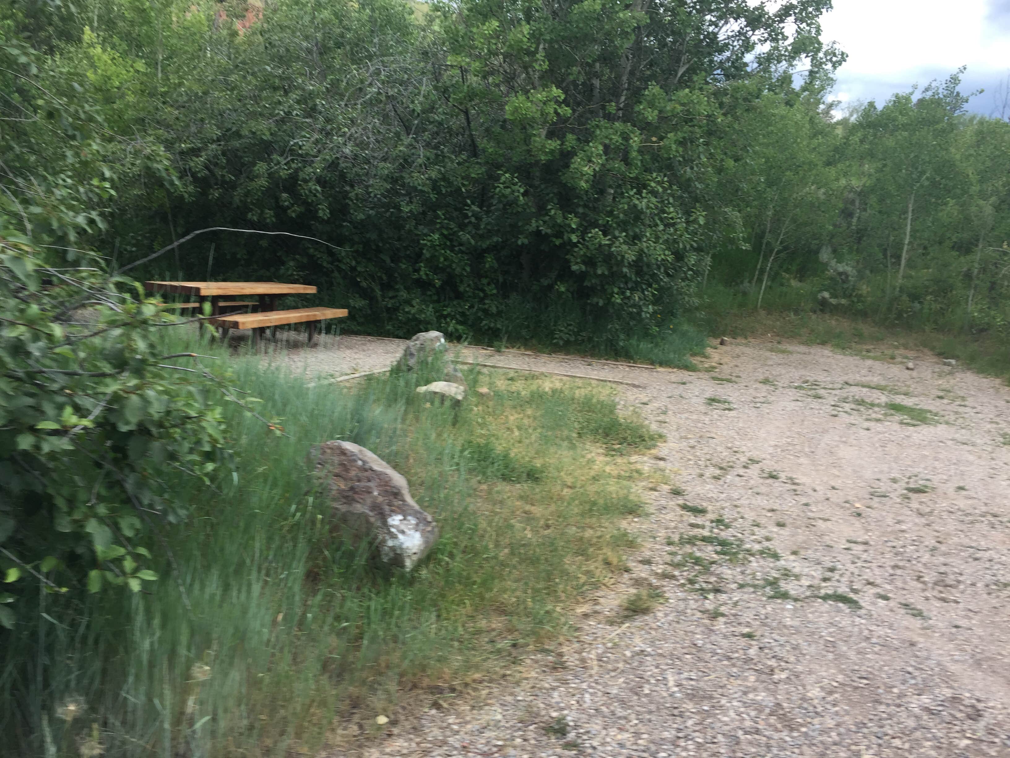 Camper submitted image from Atherton Creek Campground - 4