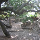 Review photo of Sea Camp Campground — Cumberland Island National Seashore by Elliott B., July 17, 2017