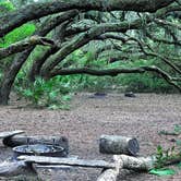 Review photo of Stafford Beach Campground — Cumberland Island National Seashore by Elliott B., June 1, 2017