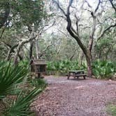 Review photo of Sea Camp Campground — Cumberland Island National Seashore by Elliott B., July 17, 2017