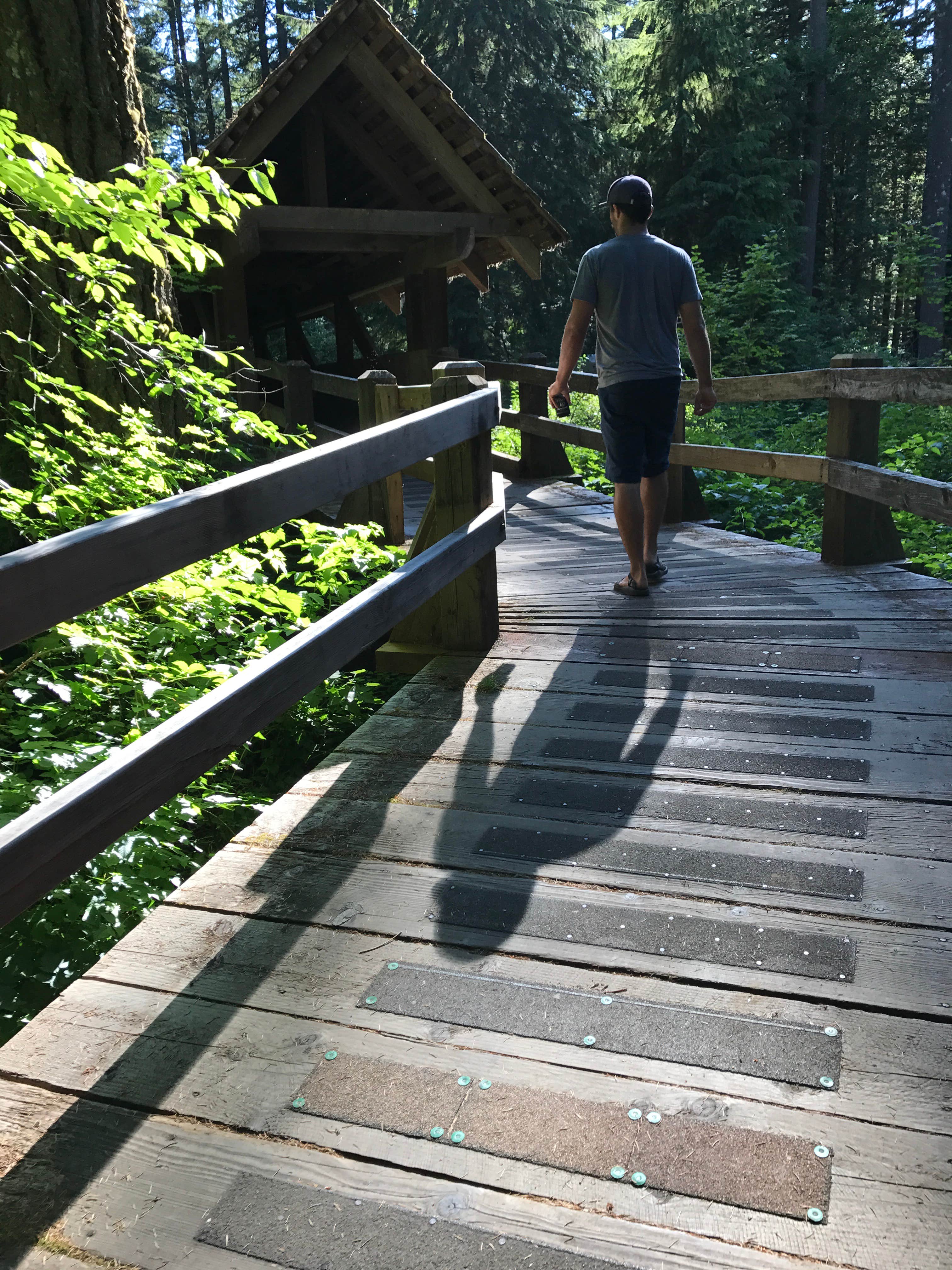 Camper submitted image from Smith Creek Village — Silver Falls State Park - 5