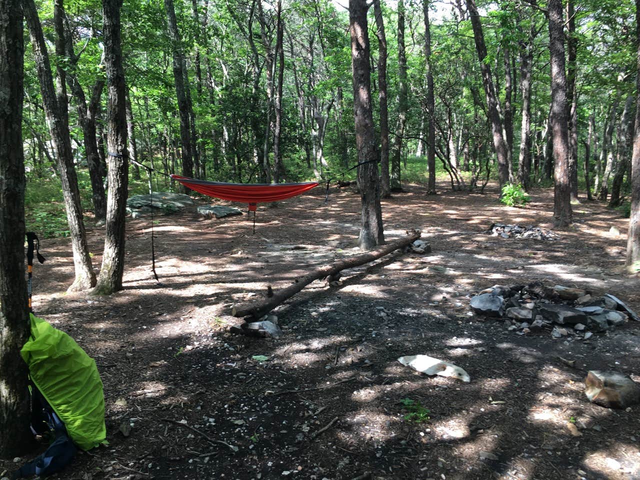 Camper submitted image from McDill Point Backcountry — Cheaha State Park - 5