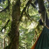 Review photo of Bedal Campground by Emily D., July 17, 2017