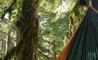 Emily D.'s photo at Bedal Campground near Mt. Baker-Snoqualmie National Forest