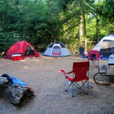 Review photo of Cold Springs Campground — Chickasaw National Recreation Area by Kelly Z., June 27, 2016