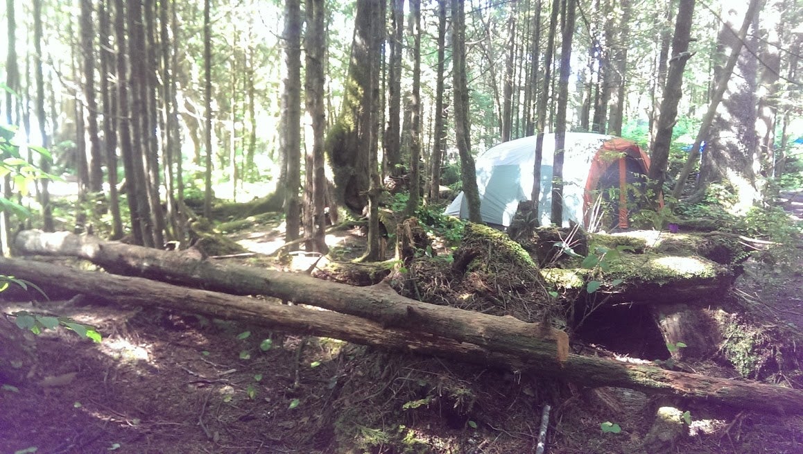 Camper submitted image from Kalaloch Campground - group — Olympic National Park - 2