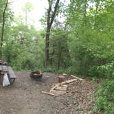 Review photo of Afton State Park Campground by Steph H., July 17, 2017