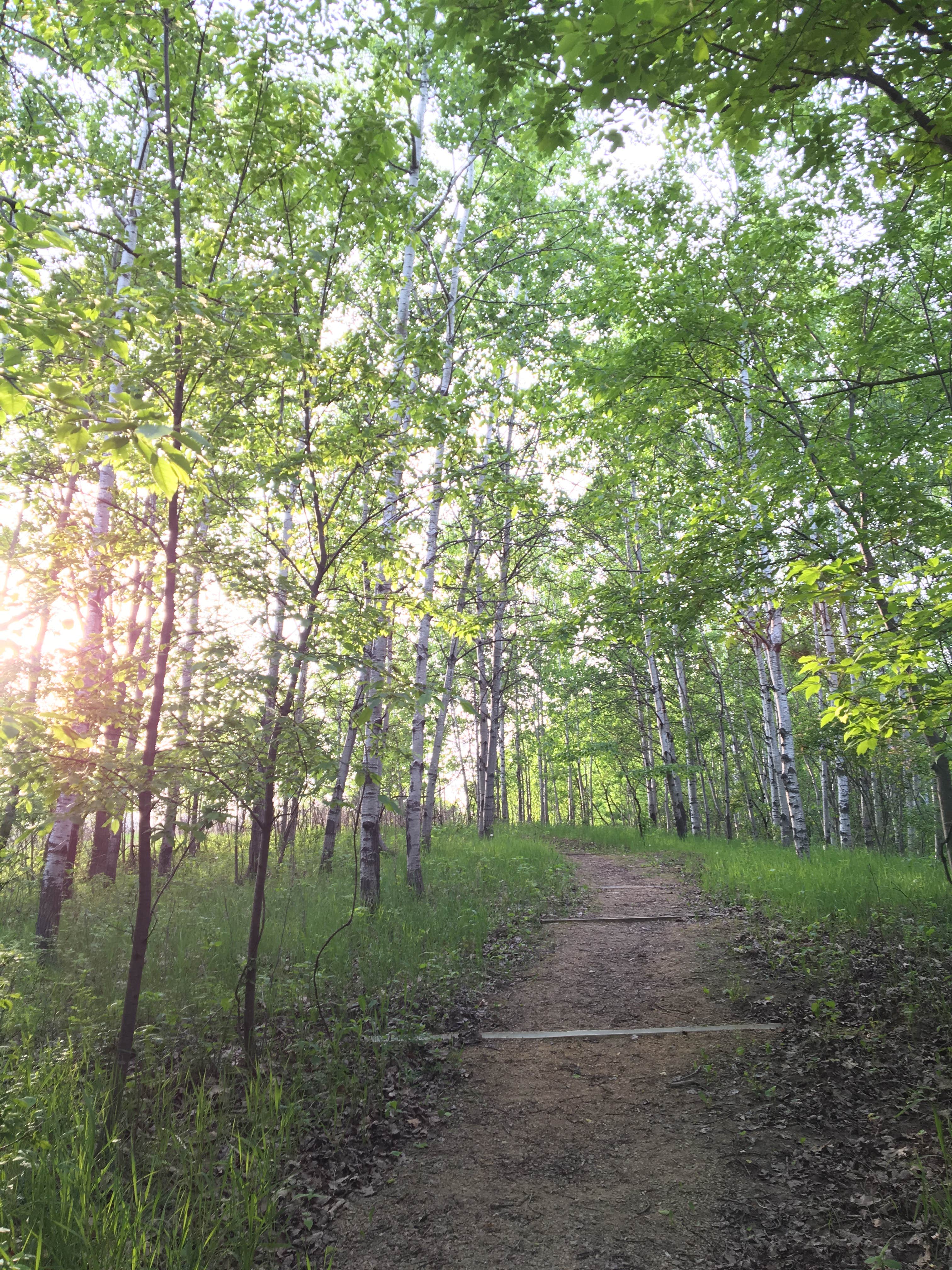 Camper submitted image from Afton State Park Campground - 4