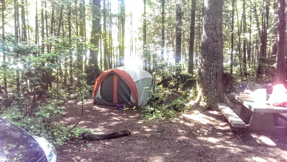 Camper submitted image from Kalaloch Campground - group — Olympic National Park - 4