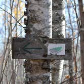 Review photo of Temperance River State Park Campground by Steph H., July 17, 2017