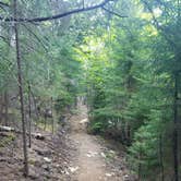 Review photo of Blackwoods Campground — Acadia National Park by Christy C., July 17, 2017