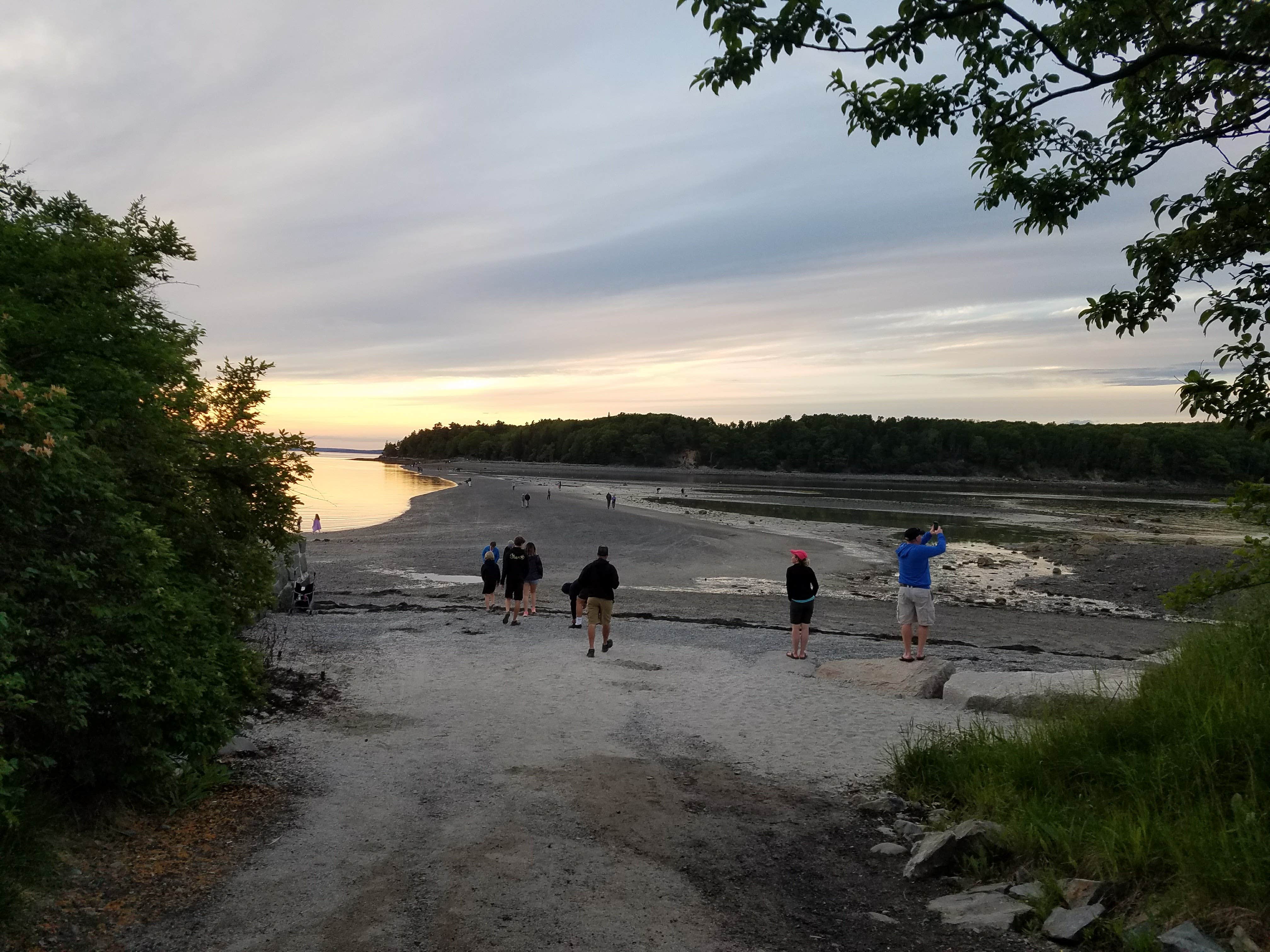 Camper-submitted photo at Blackwoods Campground — Acadia National Park near Acadia National Park