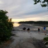 Review photo of Blackwoods Campground — Acadia National Park by Christy C., July 17, 2017
