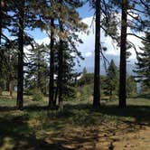 Review photo of Thomas Hunting Grounds Yellow Post Campites by Kelly Z., June 27, 2016